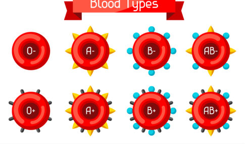 The Link Between Blood Type and Health